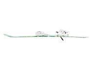 zelené Lyže Beany Traffic